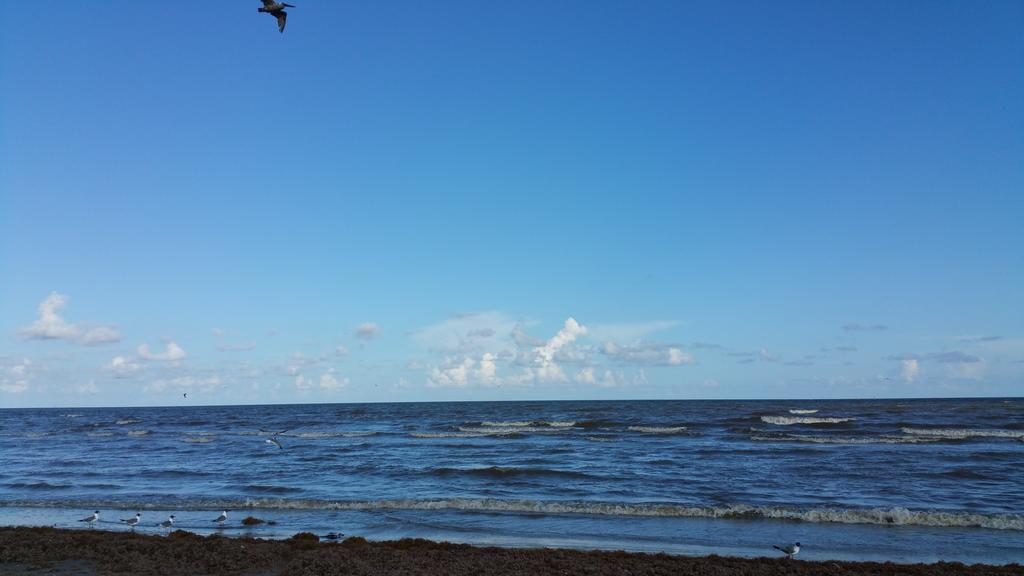 Private Beach -- Away From The Crowds - Ocean Views -Short Drive To Moody Gardens, Schlitter Bahn, Pleasure Pier Galveston Exteriör bild